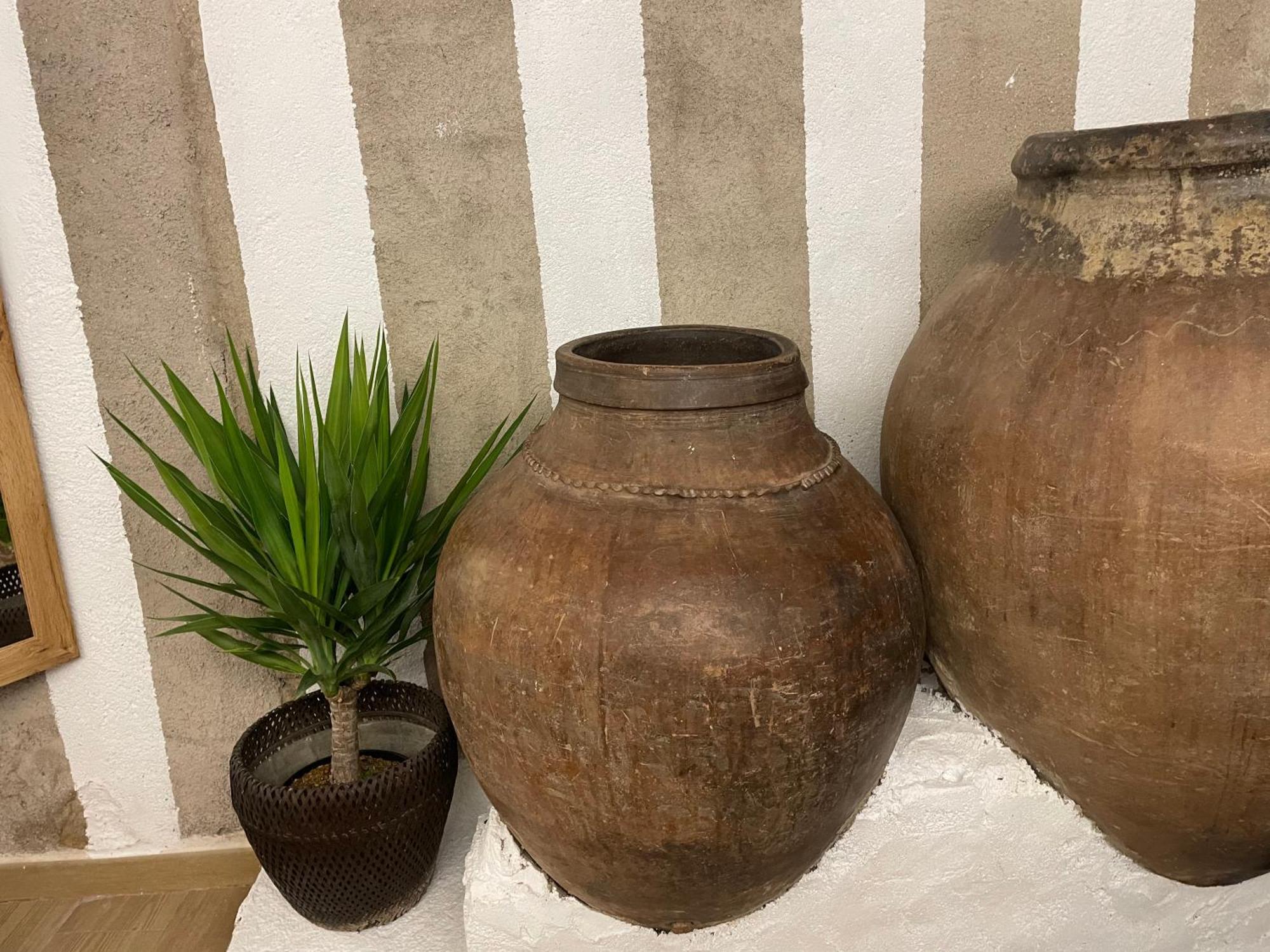 Bodeguita Del Tietar Holiday home